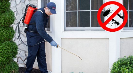 Soma Gümüşkurt İlaçlama böcek ilaçlama ve haşere kontrolü — ilaclama-tr.com